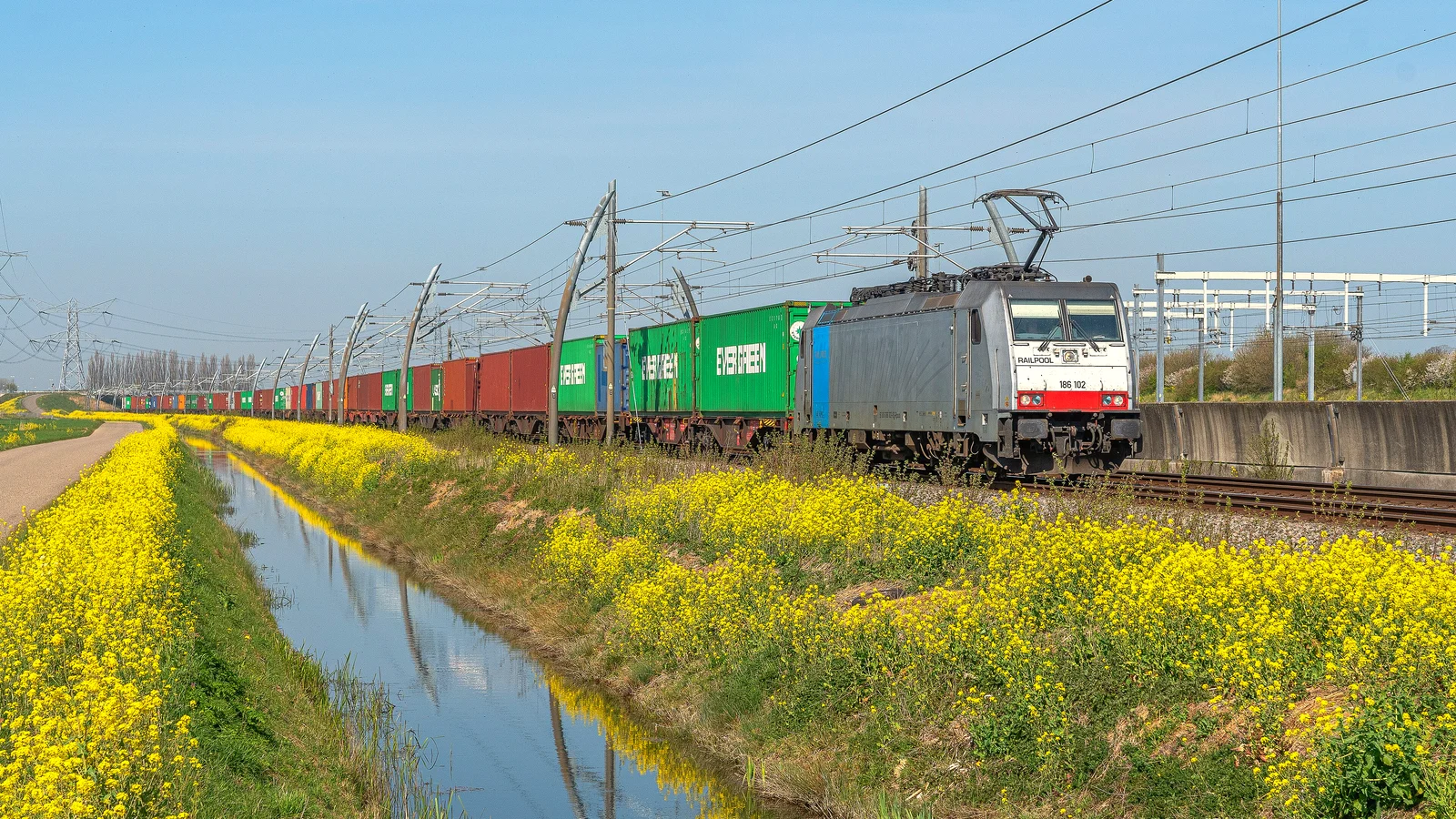 Duisburg container shuttle train passing a field of yellow flowers